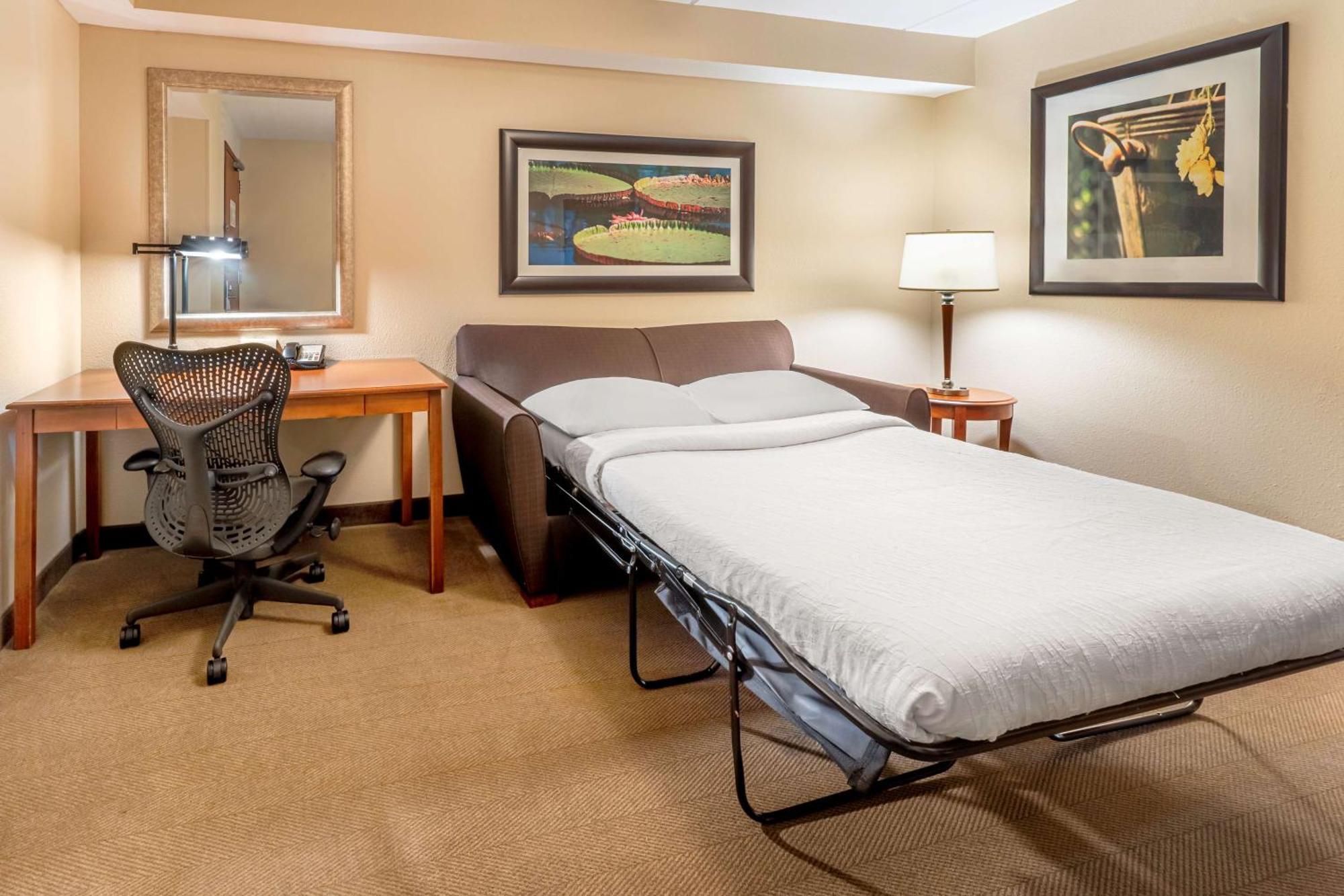 Hilton Garden Inn Houston/Зе-Вудлендс Екстер'єр фото