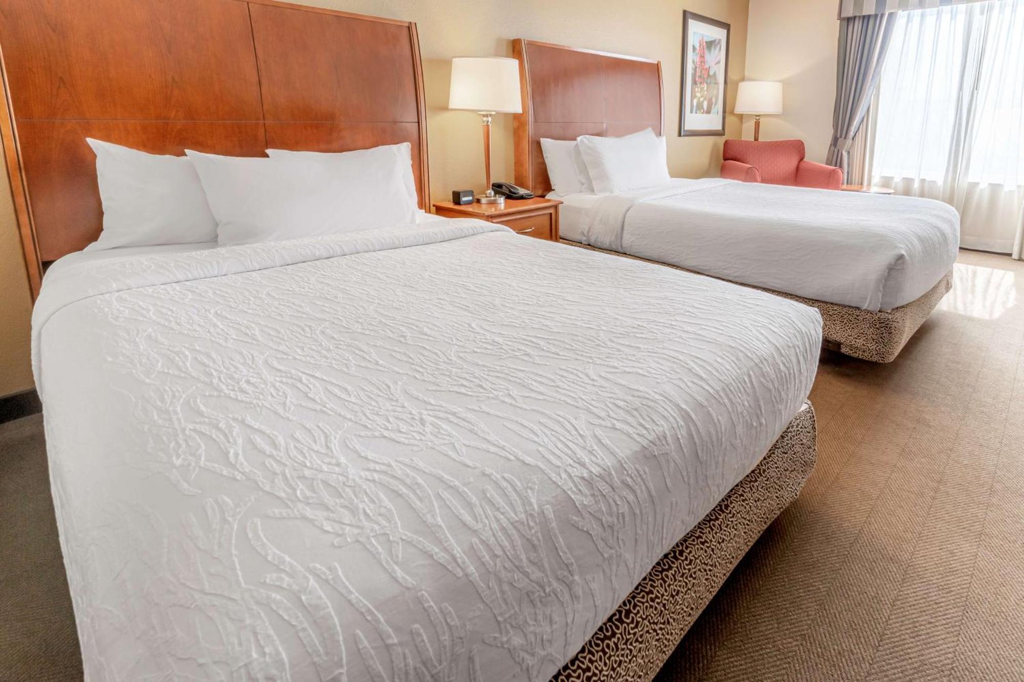 Hilton Garden Inn Houston/Зе-Вудлендс Екстер'єр фото
